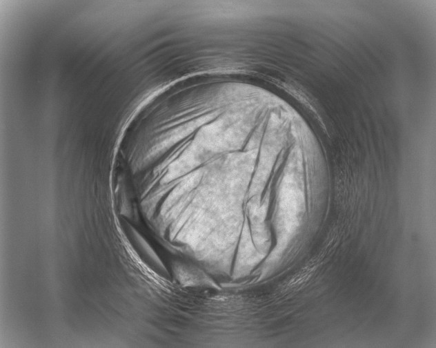 X0000053150935200508081406