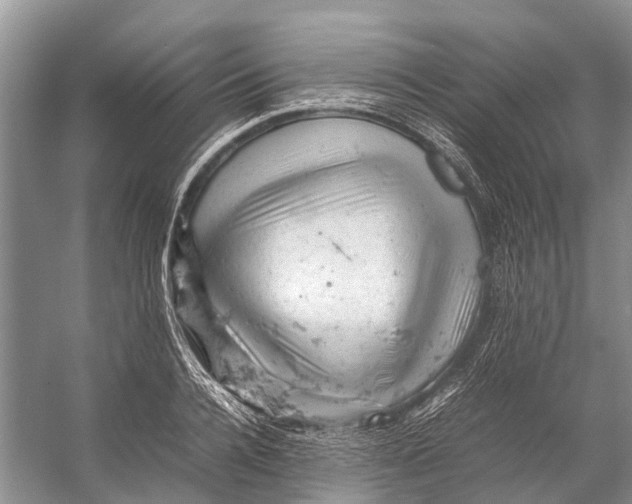 X0000053150936200508081407