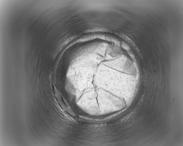 X0000053150937200508081407