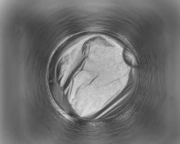 X0000053150939200508081407