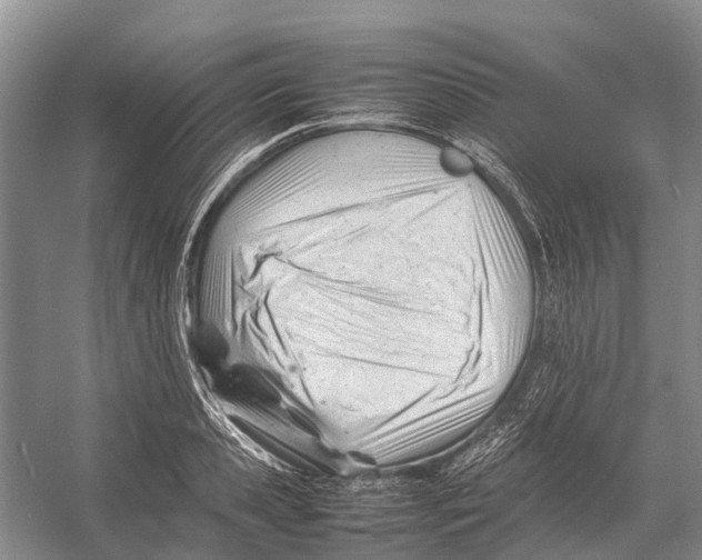 X0000053150941200508081407