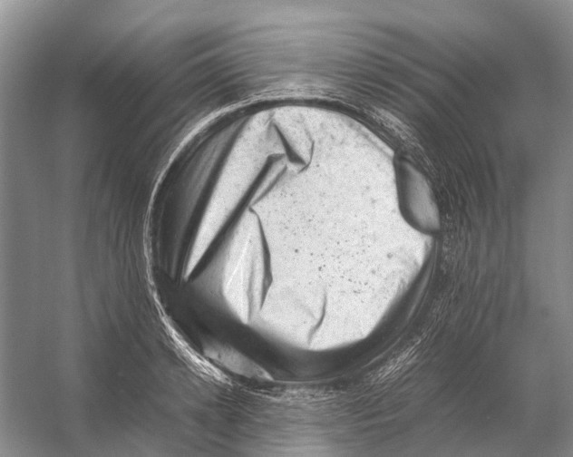 X0000053150942200508081407