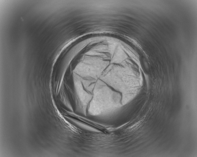 X0000053150943200508081407