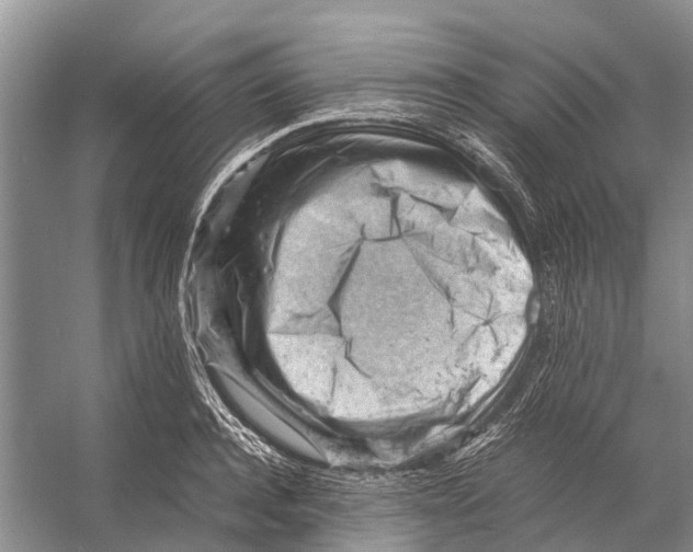 X0000053150944200508081407