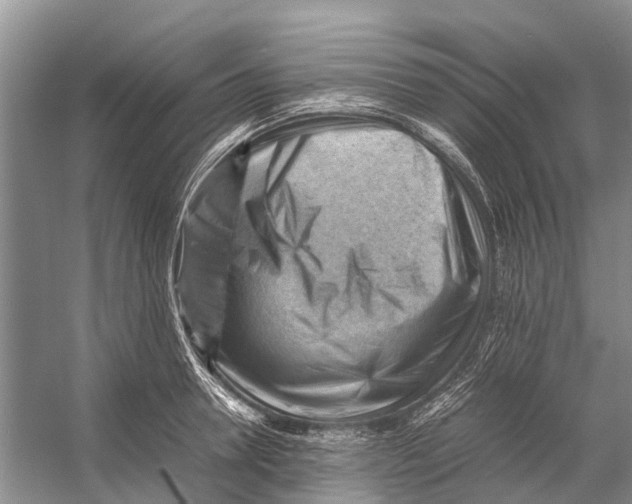 X0000053150946200508081407