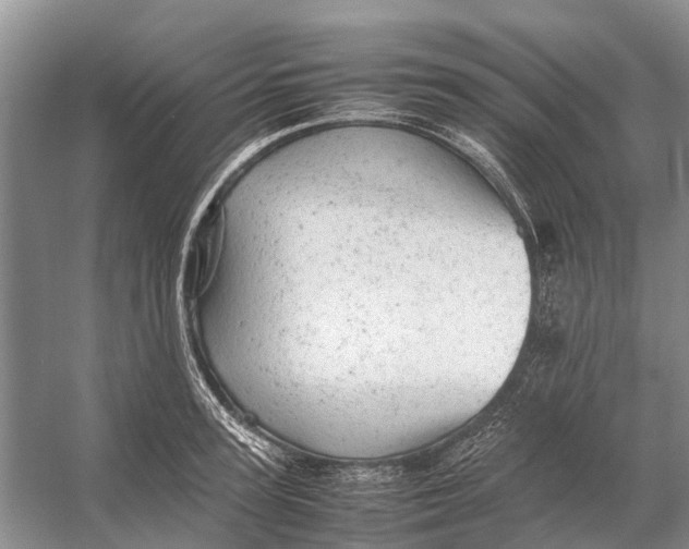 X0000053150947200508081407