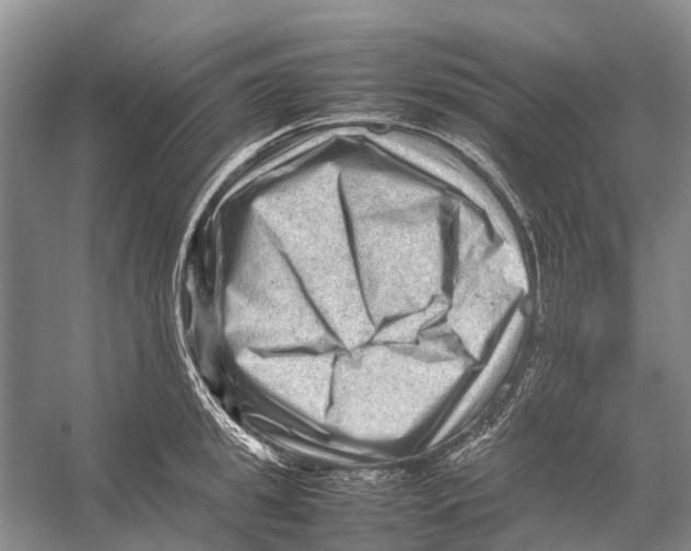 X0000053150949200508081407