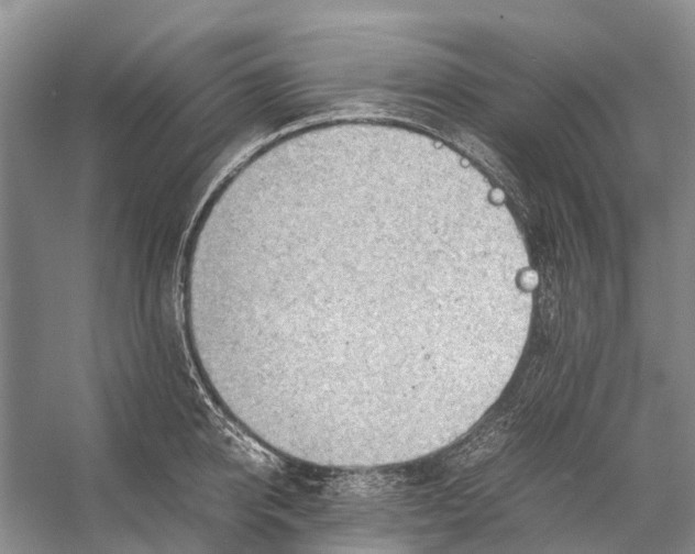 X0000053150950200508081407