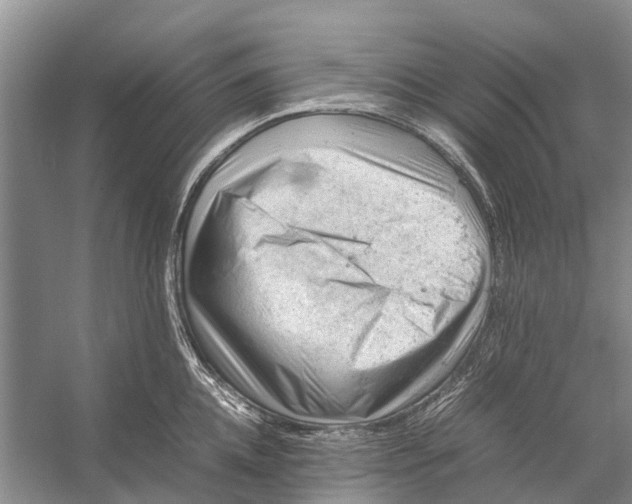 X0000053150952200508081407