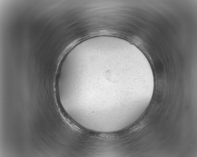 X0000053150954200508081407