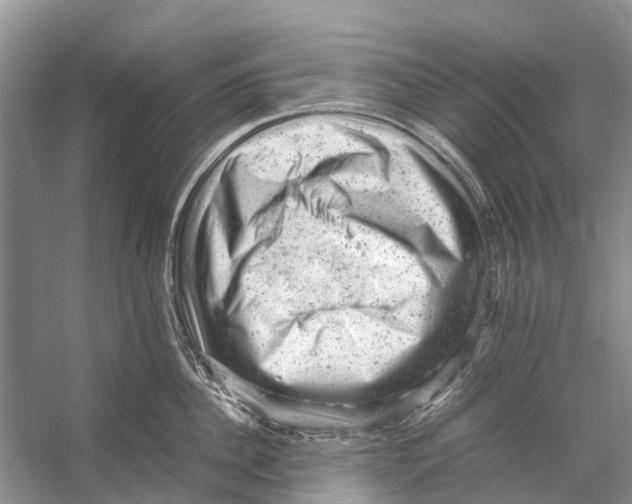 X0000053150956200508081407