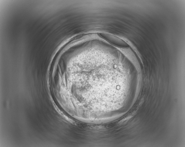 X0000053150957200508081407