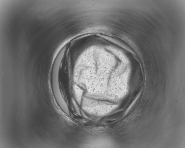 X0000053150960200508081407