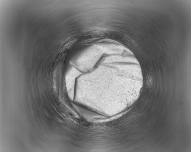 X0000053150964200508081406