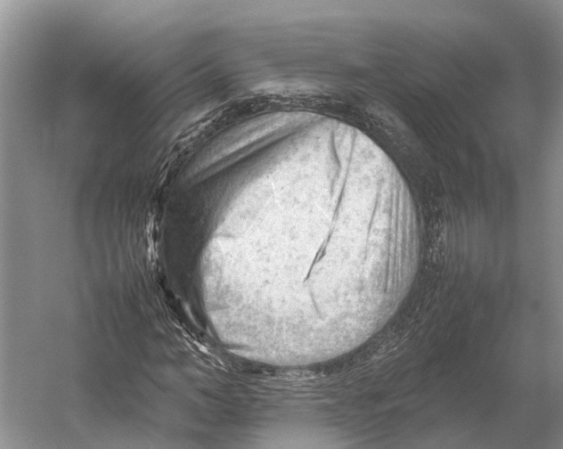 X0000053150966200508081406