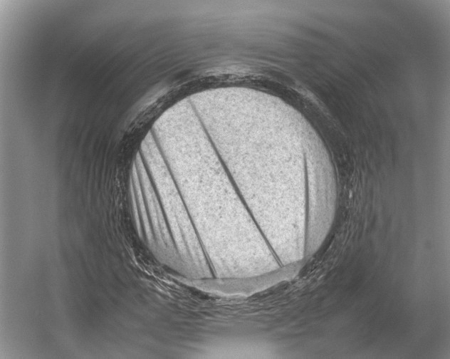 X0000053150967200508081406