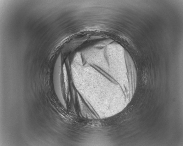 X0000053150968200508081406