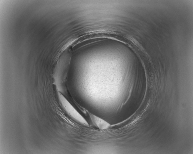 X0000053150969200508081406