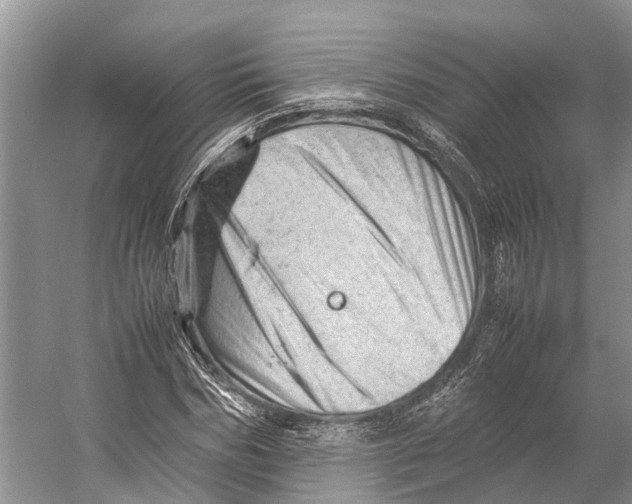 X0000053150970200508081406