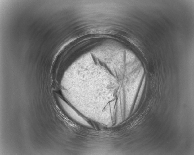 X0000053150971200508081406