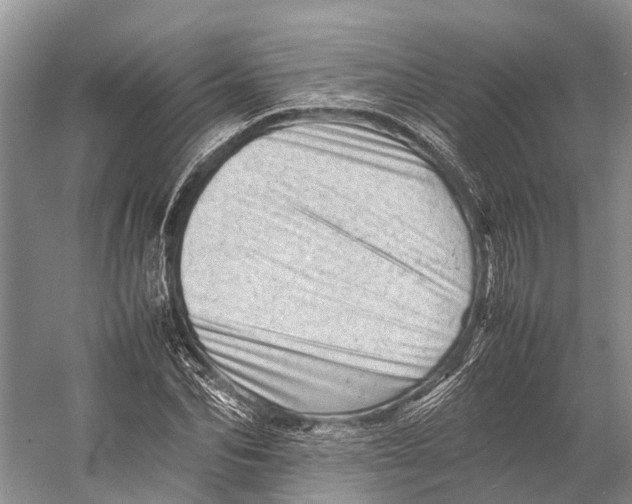 X0000053150974200508081406