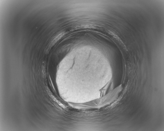 X0000053150977200508081406