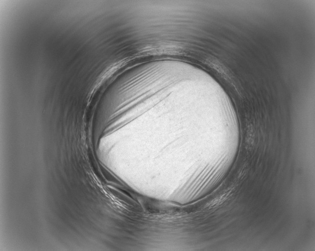 X0000053150978200508081406