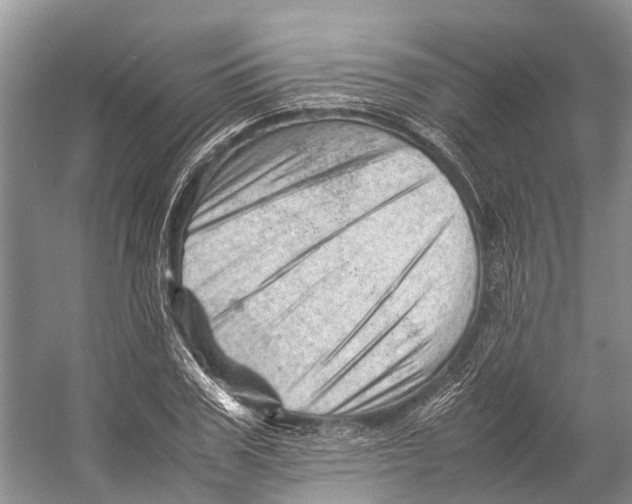 X0000053150979200508081406