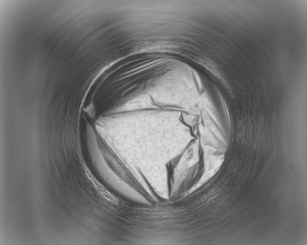 X0000053150980200508081406