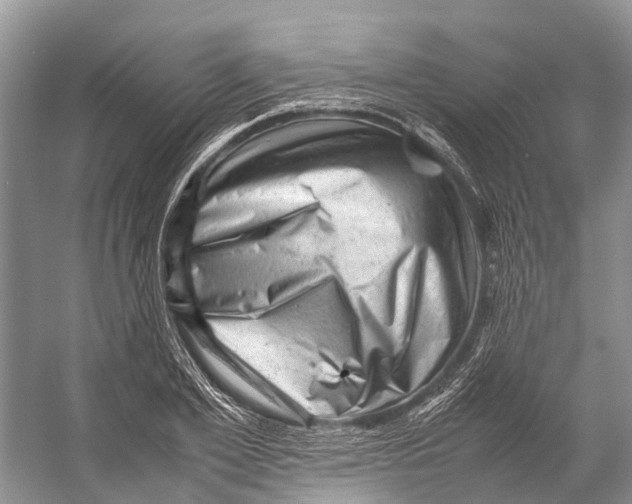 X0000053150981200508081406