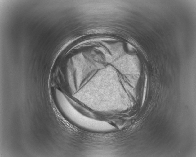 X0000053150983200508081406