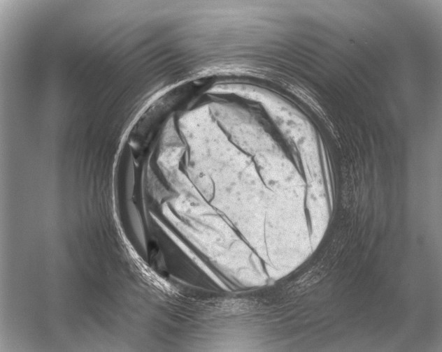 X0000053150984200508081406