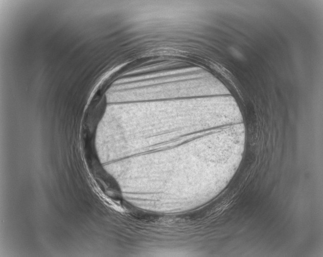 X0000053150987200508081406