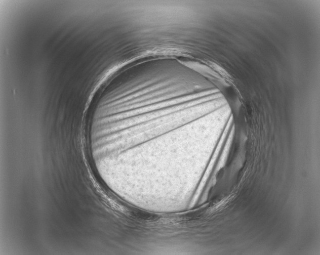 X0000053150989200508081406