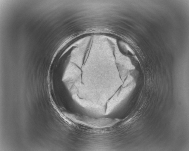 X0000053150990200508081406