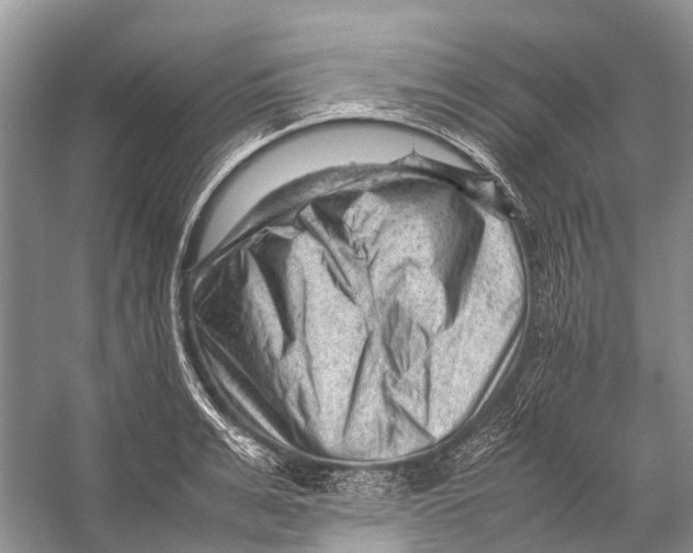 X0000053150991200508081406