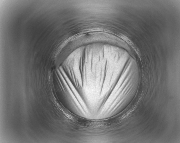 X0000053150993200508081406