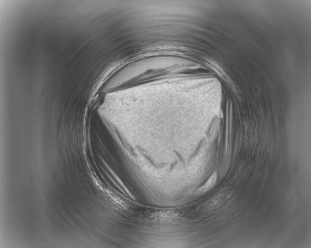 X0000053150994200508081406