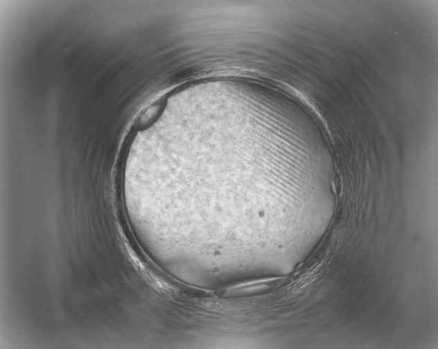 X0000053150995200508081406