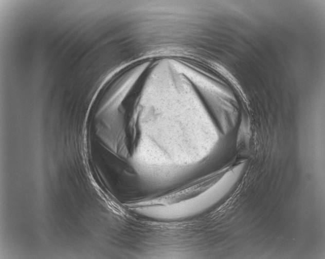 X0000053150996200508081406