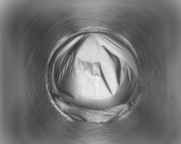 X0000053150997200508081405