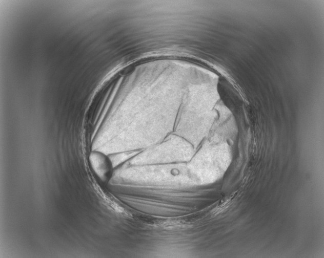 X0000053150998200508081405