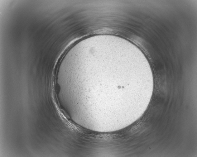 X0000053151000200508081405