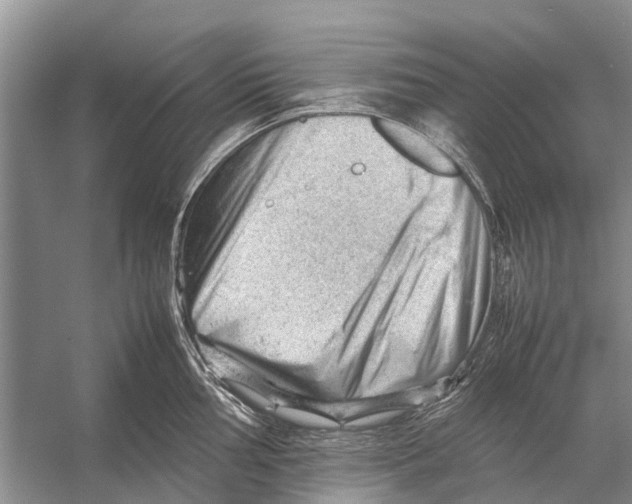 X0000053151002200508081405