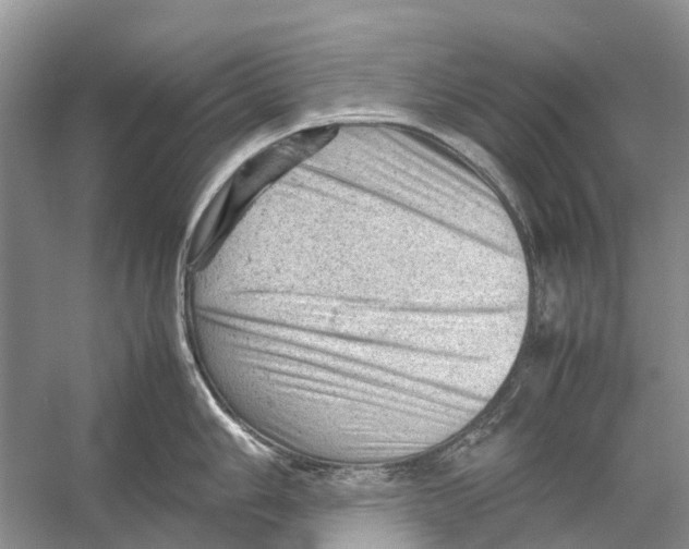 X0000053151006200508081405