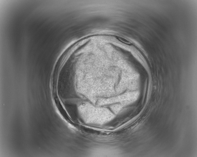 X0000053151007200508081405