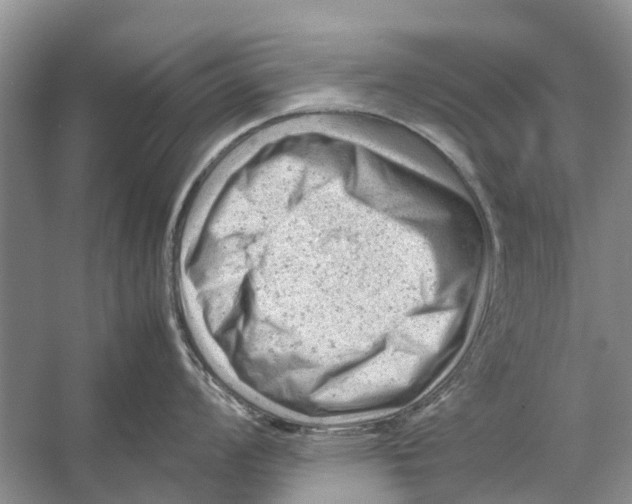 X0000053151008200508081405