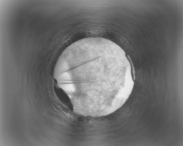 X0000053151009200508081404