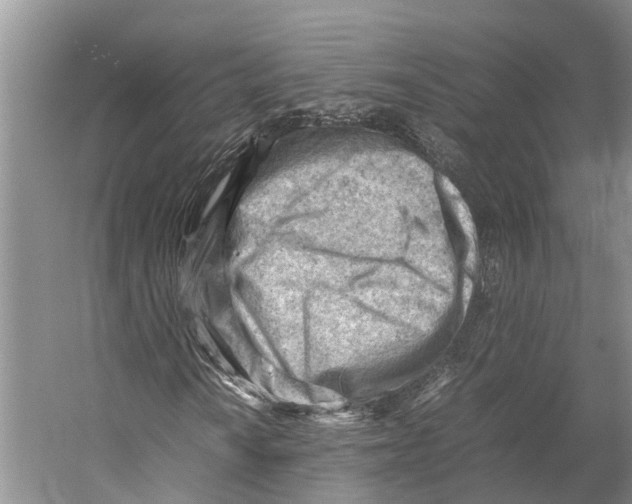 X0000053151010200508081405