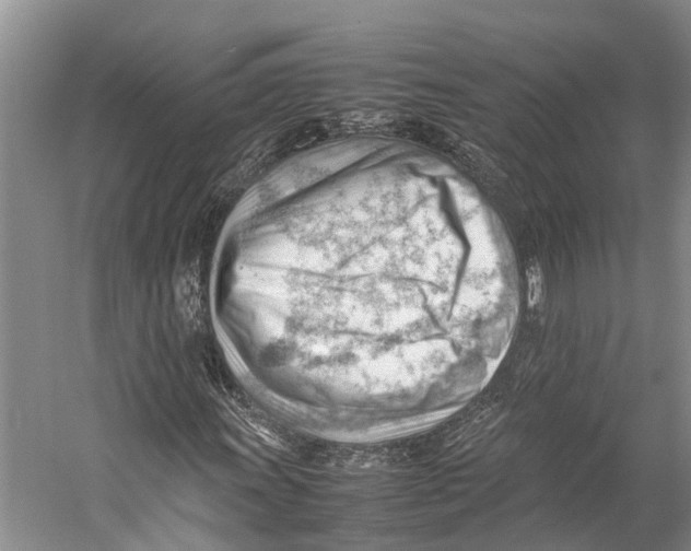 X0000053151011200508081405